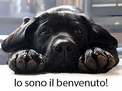 Io sono il benvenuto!